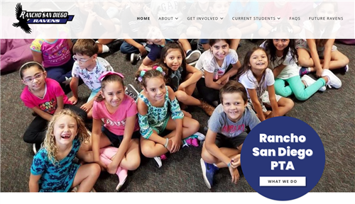 RSDPTA website screen shot 
